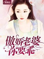 傲嬌老婆你要乖