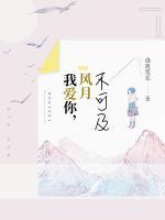 我愛(ài)你，風(fēng)月不可及