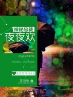 神秘總裁，夜夜歡