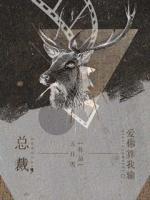 總裁，愛你算我輸