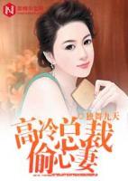 高冷總裁偷心妻