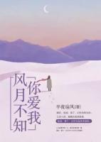 風(fēng)月不知你愛我