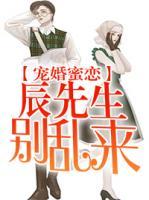 寵婚蜜戀：辰先生，別亂來(lái)