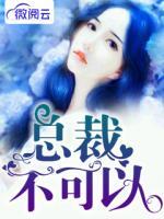 總裁，不可以