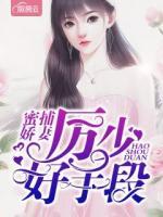 蜜捕嬌妻：厲少好手段