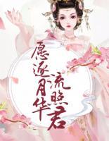 愿逐月華流照君