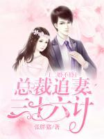 二婚不昏，總裁追妻三十六計