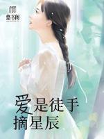 愛(ài)是徒手摘星辰
