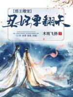 邪王嗜寵：丑妃要翻天
