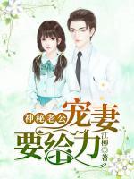 神秘老公：寵妻要給力