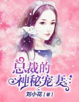 總裁的神秘寵妻