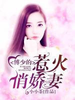 傅少的麻辣俏嬌妻