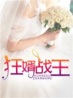 狂婿戰(zhàn)王