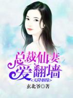 總裁仙妻愛翻墻