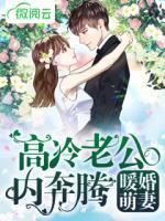 暖婚萌妻：高冷老公內奔騰