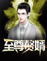 至尊贅婿