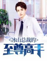 冰山總裁的至尊高手