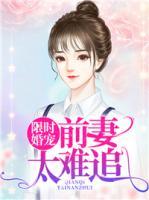 限時婚寵：前妻太難追