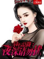鉆石總裁：夜深請勿擾