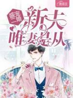 盛寵二婚：新夫唯妻是從