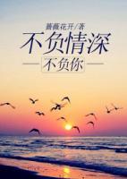 不負情深不負你