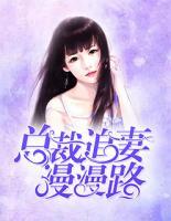 總裁追妻漫漫路