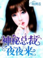 神秘總裁夜夜來