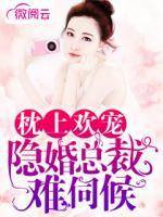 枕上歡寵：隱婚總裁難伺候