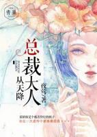 總裁大人從天降