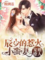 寵婚撩人：辰少的惹火小蠻妻