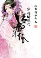 穿越情緣之玉面飛狐