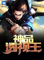 神品透視王