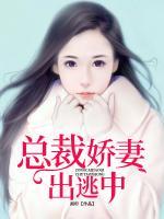總裁嬌妻出逃中
