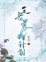 王妃養(yǎng)成計劃