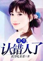 先生，認(rèn)錯(cuò)人了