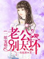 一紙寵婚：老公，別太壞