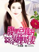 天降三寶：腹黑總裁的落魄嬌妻