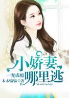 一寵成癮：小嬌妻，哪里逃