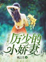 誤惹豪門，厲少的小嬌妻