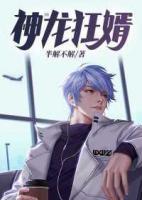 神龍狂婿