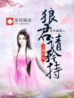 全能醫(yī)妃，狼君請矜持