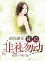 危險甜妻：陸總，非禮勿動