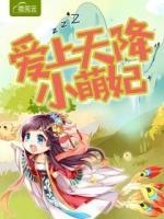 愛上天降小萌妃