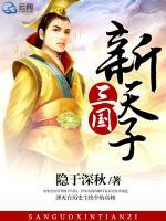 三國(guó)新天子