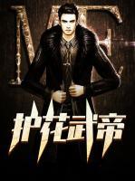 護花武帝