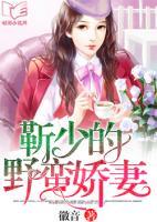 靳少的野蠻嬌妻