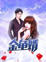 金龜婿