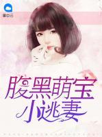 腹黑萌寶小逃妻