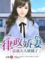 律政嬌妻：總裁大人被捕了