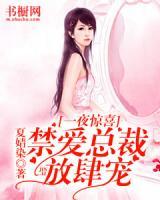 一夜驚喜：禁愛總裁放肆寵